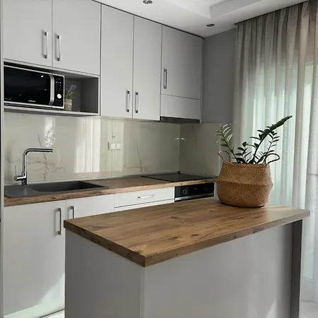 Apartment Domi Luxury *