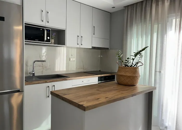 Apartment Domi Luxury *